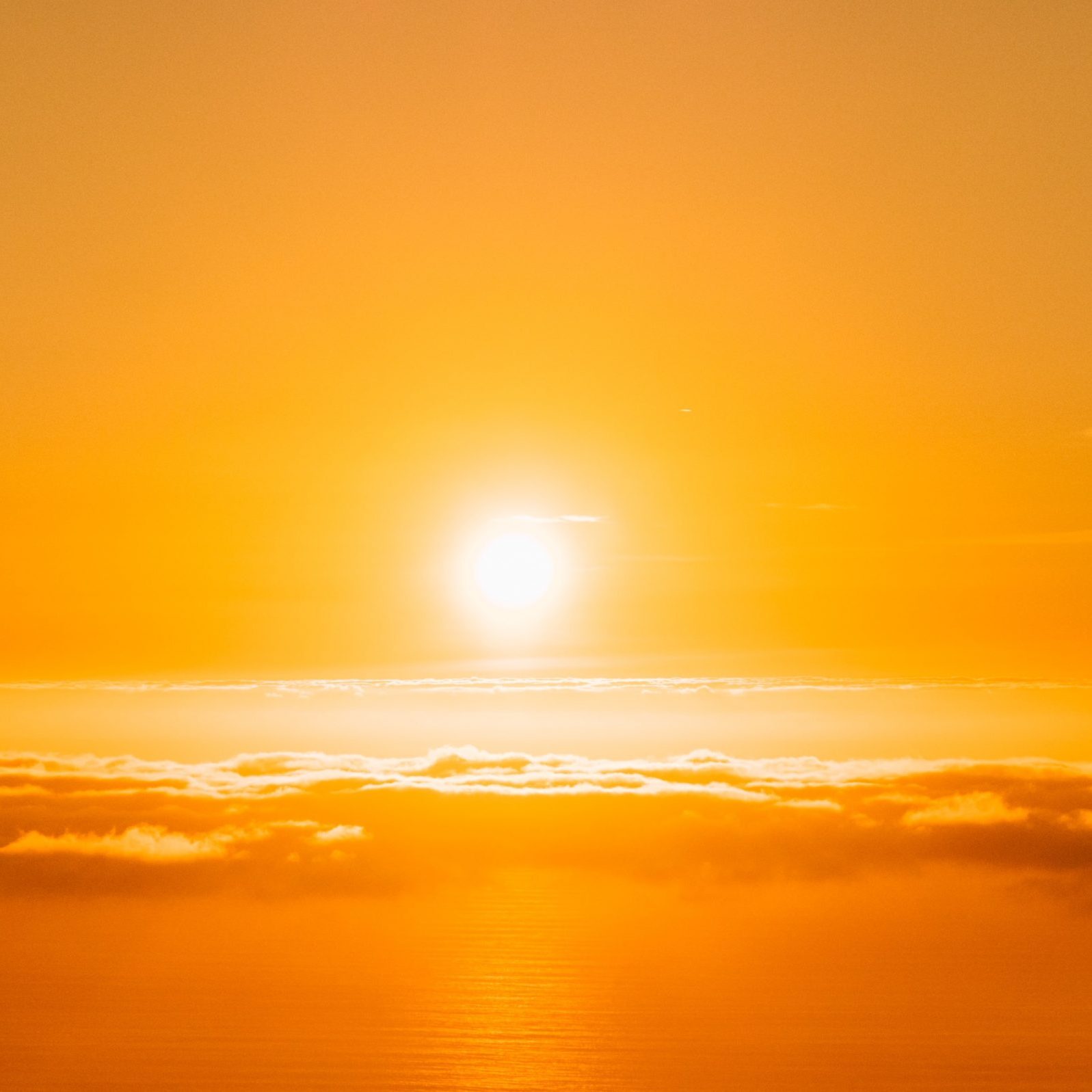 john-towner-CakC6u4d95g-unsplash