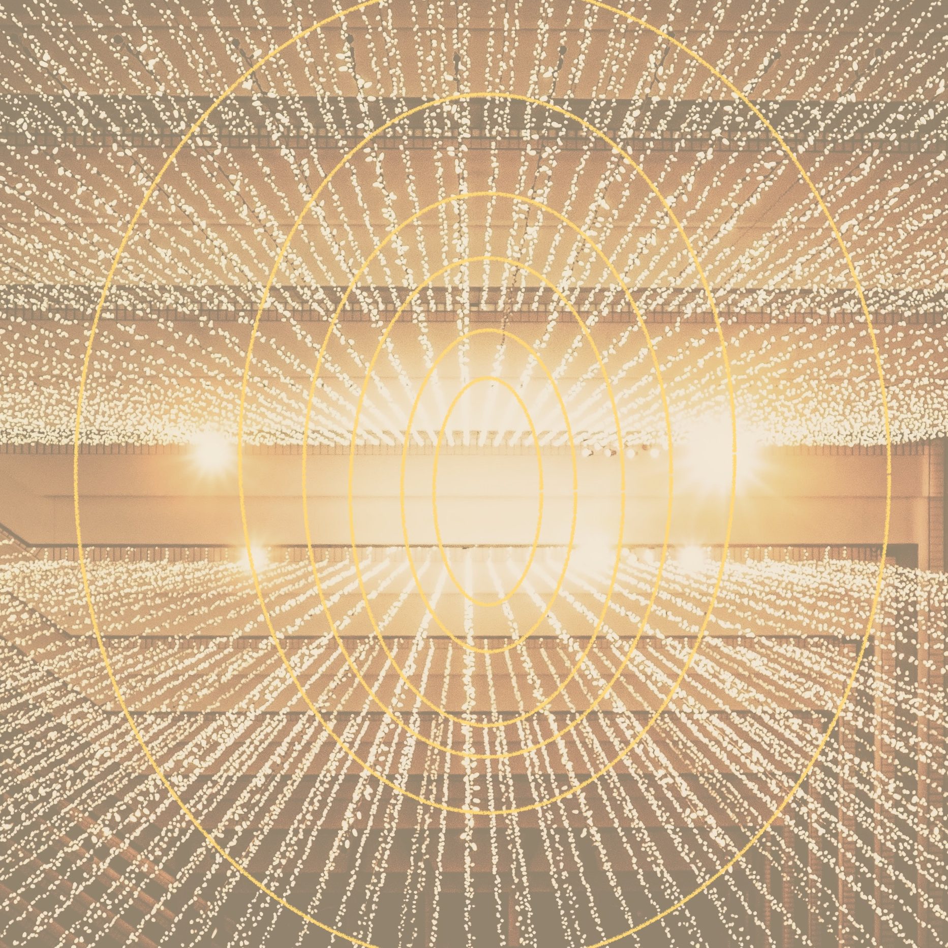 joshua-sortino-LqKhnDzSF-8-unsplash