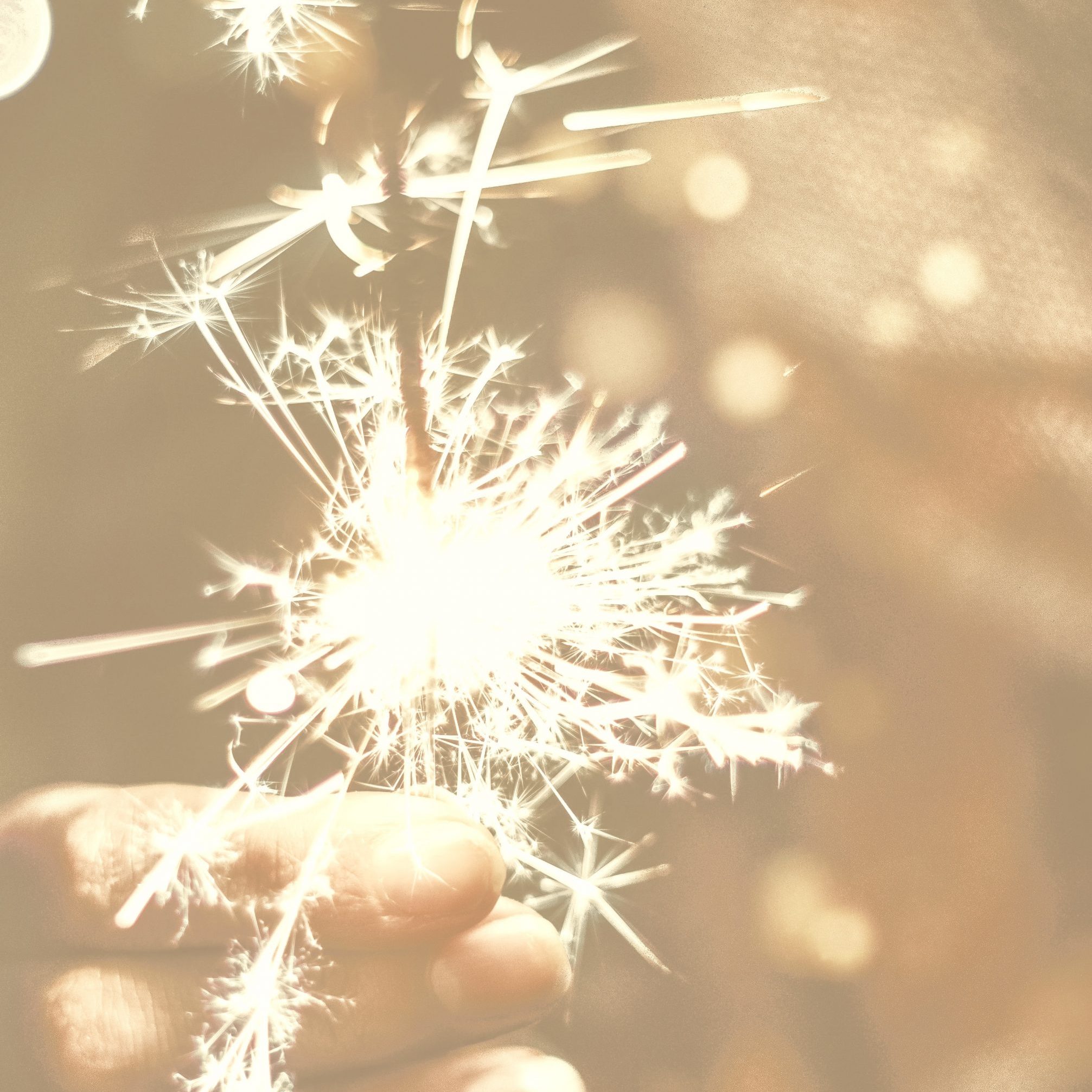 marvin-van-beek-4cYGI6WXK6M-unsplash